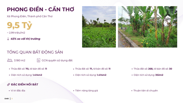 Phong ĐiỀn CẦn ThƠ